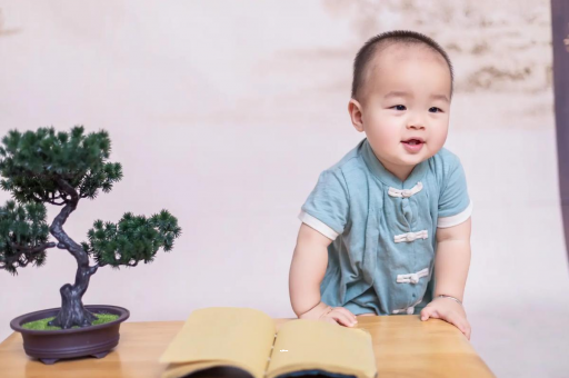 肇庆可爱的企鹅宝宝